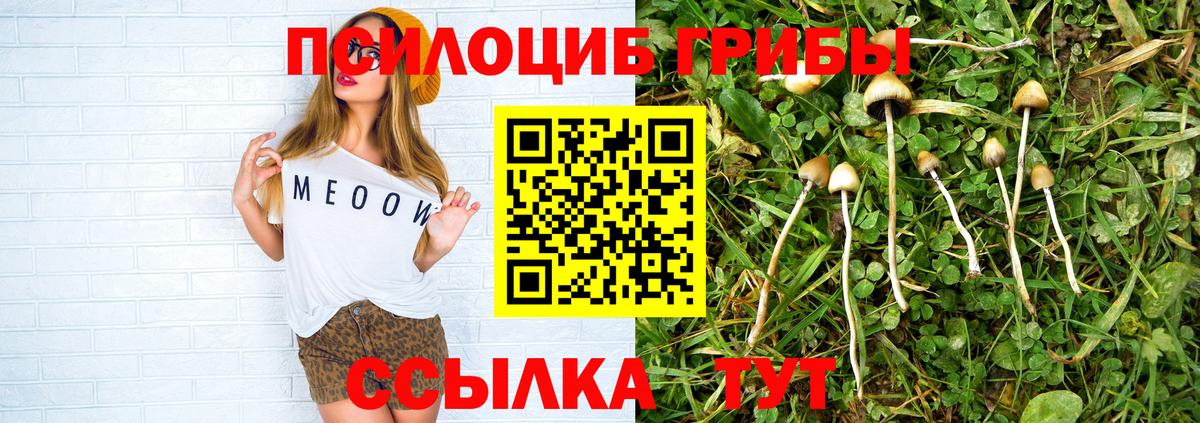 как найти закладки  Галлюциногенные грибы ЛСД  Псилоцибиновые грибы Psilocybe  Вход с VPN  Калач-на-Дону 