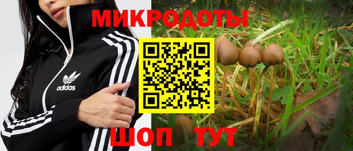 Псилоцибиновые грибы мицелий Калач-на-Дону